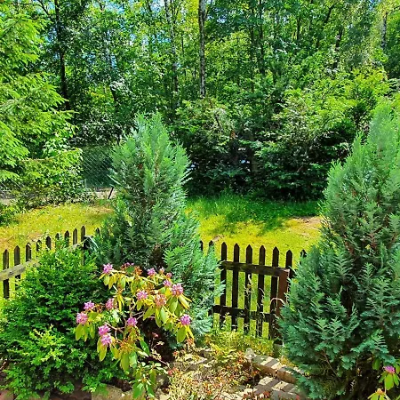 Delightful In With Garden And Terrace Apartment Goslar